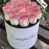 گل طبیعی رز هلندی باکسی فقط شاخه ای ۲۲ تومن|گل و گیاه طبیعی|مشهد, آزادشهر|دیوار