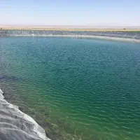 اجاره باغ انگور با ۲۰ ساعت اب چاه عمیق|اجارهٔ دفتر صنعتی، کشاورزی، تجاری|سبزوار, ابوریحان|دیوار