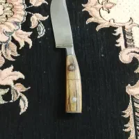 دسته شاخ