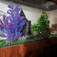 فروش آکواریوم چوبی کاملا نو با وسایل داخلش