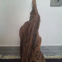 چوب ابنوس