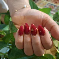 مدل رایگان ناخن|خدمات آرایشگری و زیبایی|رشت, معلم|دیوار