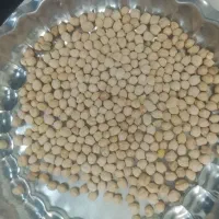 نخود
