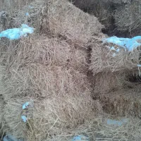 2000بسته کلش اب و دیم