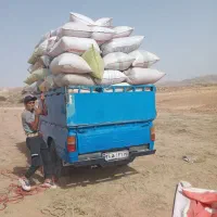 سلام خار شتری