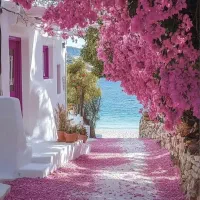 کوتوله برزیلی گم شده