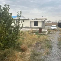 نگهبانی و سرایه داری