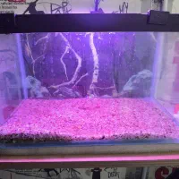 آکواریوم کامل