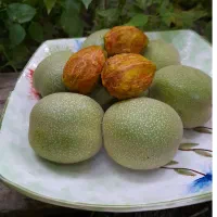 گردو .تویسرکان .نهاوند.