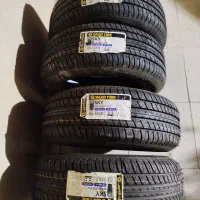 لاستیک تارا