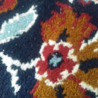 گم شدن کیف پول