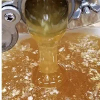 عسل طبیعی|خوردنی و آشامیدنی|اصفهان, خواجو|دیوار