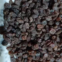 کشمش بیدانه و شیره بیدانه