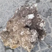 سنگ سیلیستین