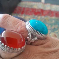 انگشترشجر تک درخت