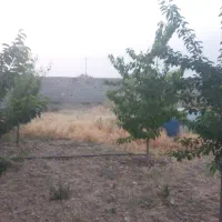 گوارشک. گجوان ۳۳