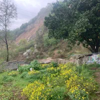 سوئیت ۳۰ متری ،لفور،مازندران|اجارهٔ کوتاهمدت آپارتمان و سوئیت|شیرگاه, |دیوار