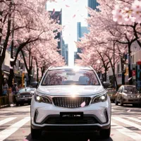 بک ایکس 3 پرو/تحویل فوری گروه خودرویی دلیلی BAC X3