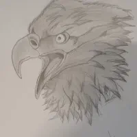 سفارش طراحی|تابلو، نقاشی، عکس|شیروان (خراسان), |دیوار