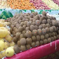 به یک همکار کار بلد در میوه فروشی نیازمندیم