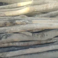 خرید و فروش انواع درخت و چوب خشک سقفی