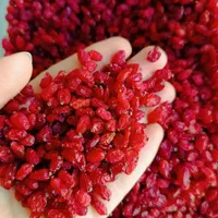 کشمش زرشک زعفران عناب مویز سوهان آلوبخارا لواشک|خوردنی و آشامیدنی|مشهد, رسالت|دیوار