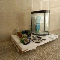 آکواریوم نیم دایره