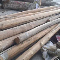 خرید چوب خشک سقفی وانواع چوب درباغات|خدمات پیشه و مهارت|ارومیه, |دیوار