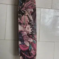 اسکیت برد حرفه ای