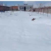 ویلا-هف-باغ-تیر-438