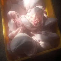 ران.مرغ|خوردنی و آشامیدنی|کرمانشاه, |دیوار