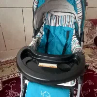 کالسکه دلیجان در حد نو