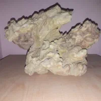 سنگ زیباومخصوص کلکسیونی