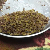 فروش شیره انگور و کشمش
