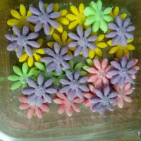 قندهای فانتزی.رژیمی.دمنوشی