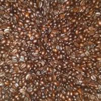 نیرو کار خانم ـ لطفا تماس بگیرید وقت چت ندارم