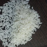 برنج فجر سوزنی اعلا درجه یک