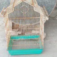 دو عدد قفس پرونده بزرگ|لوازم جانبی حیوانات|بوشهر, |دیوار