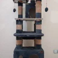 اسکراچر گربه