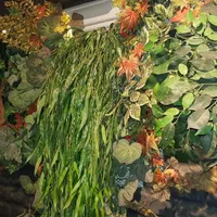 گرین وال و آبنما و فلاورباکس