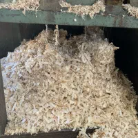 فروش پوشال مرغی