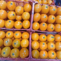 عرض میوه های لوکس مجالس|خوردنی و آشامیدنی|تهران, میدان میوه و تره‌بار مرکزی|دیوار