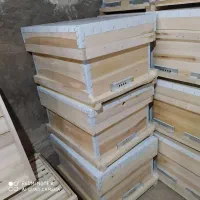 کندو وطبق|حیوانات مزرعه|بوکان, |دیوار