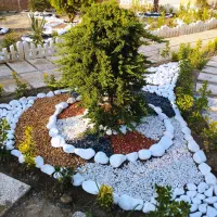 باغبانی ، درختکاری و طراحی فضای سبز