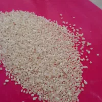 ریزدانه هاشمی