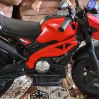 تعدادی لوازم|فرش|تایباد, |دیوار