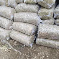 علوفه ذرت 7000تومان