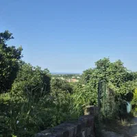 ۷۵۰ متر زمین مسکونی/ سند تک‌برگ/ قیمت استثنایی