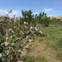 ۵۰۰ متر باغ ویو دار