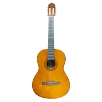 تدریس خصوصی گیتار